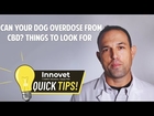 Can Your Dog Overdose From Pure CBD Oil
