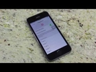 iPhone 5S Touch ID Review: 5s & Fingerprint Identity Security
