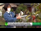 No-Go Zone: Govt lets people home despite Fukushima radiation alarm
