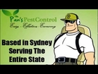 Possum Removal Sydney and NSW - Get Your Discount Here! - 1800 - 044 - 419