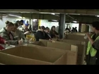 South Bend Roseland Rotary USPS Food Drive