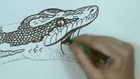 How to Draw a Snake - carpet python