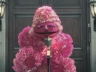 Sesame Street Releases Spoof of 'The Hunger Games'