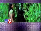 Tamil Heroes eyes on Telugu actress Sri Divya